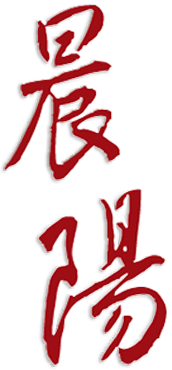 Canvas Logo